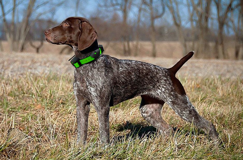 ddc23b68-4caf-4966-a255-db78bc67586f