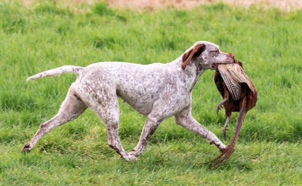 news-597-367 news-597-367