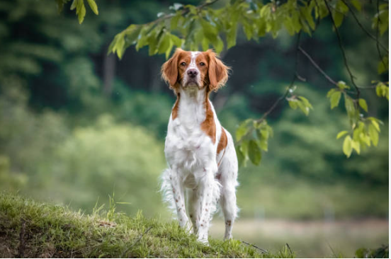 2023-07-03 093149 2023-07-03 093149